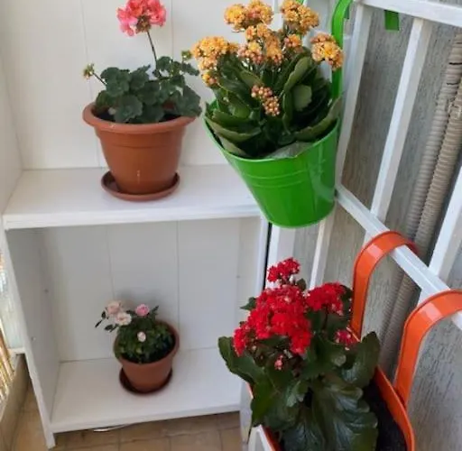 Cin Cin Centro Apartment